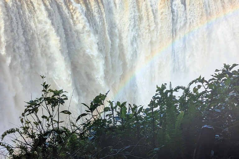 Victoria Falls Zimbabwe: Guided Walk for First-Time Visitors