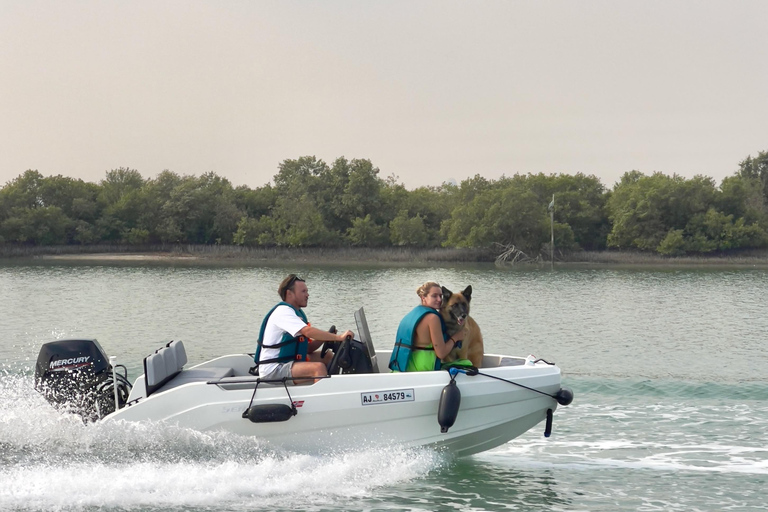Tour de áudio pela Ilha Yas, condução própria guiada em grupo, fácil e divertidoSeaRay 25 FT • Com o capitão Bayside • Perfeito para até 6 pessoas