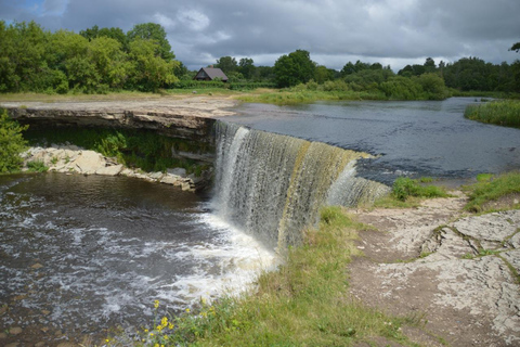 Tallinn: rondleiding langs de hoogtepunten voor cruisepassagiers