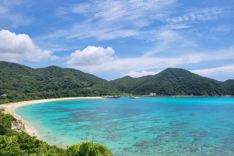 From Naha : Kerama, Tokashiki Island and Whale Watching Tour Tokashiki island + Whale watching