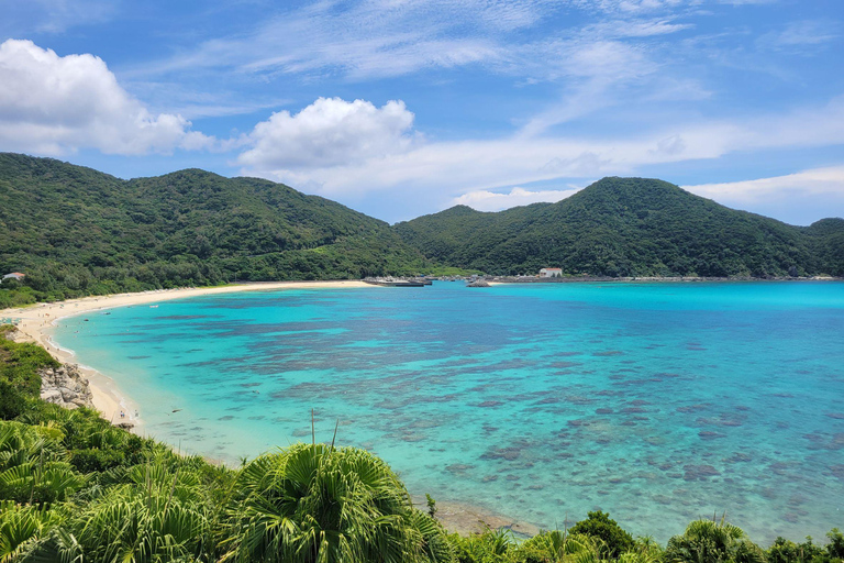 From Naha : Kerama, Tokashiki Island and Whale Watching Tour Tokashiki island + Whale watching