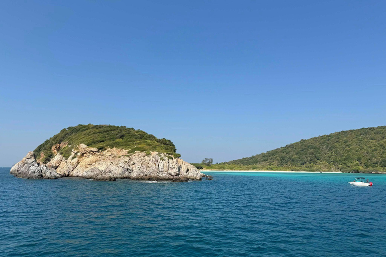 Pattaya: Fun dives in Pattaya and Samaesarn with transfer 3 Dives