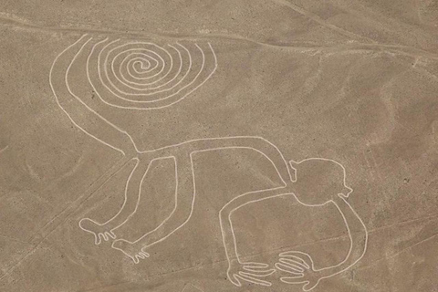 From Ica: Flight over the Nazca Lines