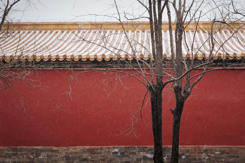 Pekín: Visita de un día a la Ciudad Prohibida y la Plaza de Tian&#039;anmen