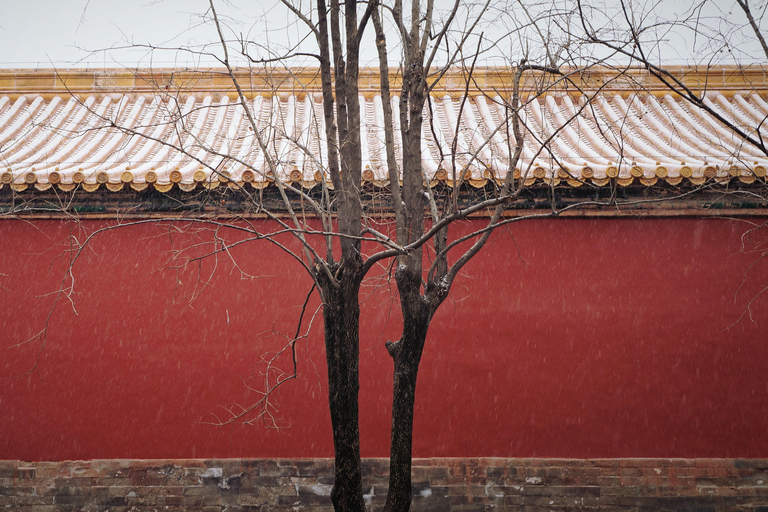 Pekín: Visita de un día a la Ciudad Prohibida y la Plaza de Tian&#039;anmen