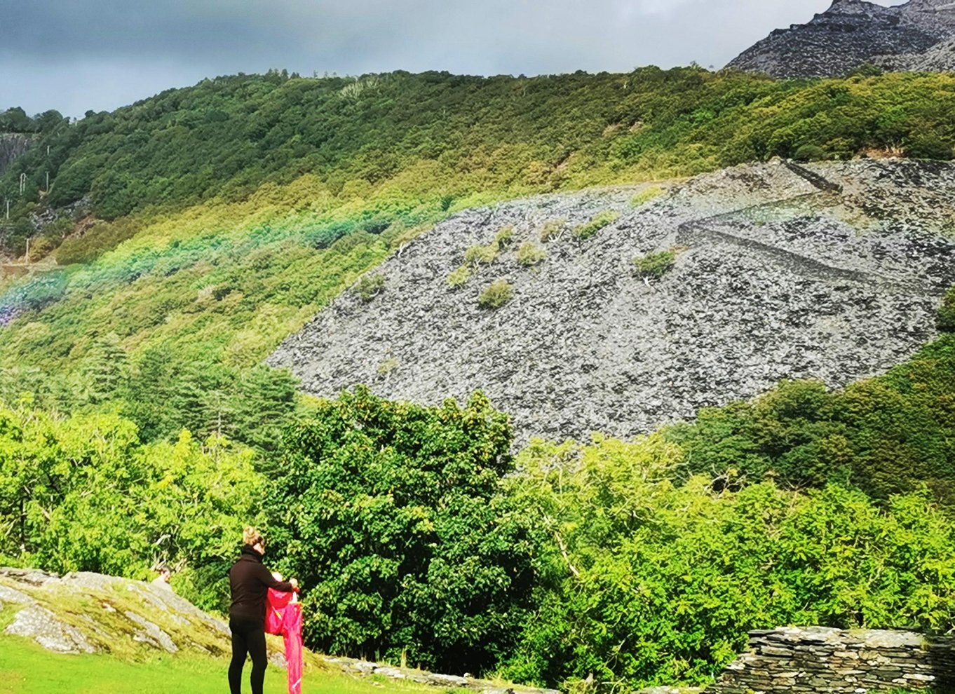 Fra Llandudno: Snowdonia Nationalpark og tre slots