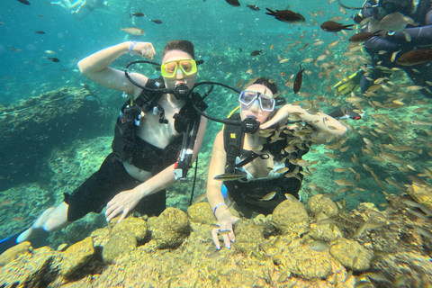 Alanya: Scuba Diving Boat Tour with Lunch and Equipment