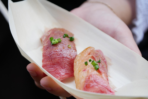 From Nagoya: Inuyama Day Trip