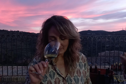 Wine, EVOO, and Tapas Tasting with Ana Morales, Toledo Historic Center Wine, EVOO, and Tapas Tasting with Ana Morales in Toledo's Historic Center