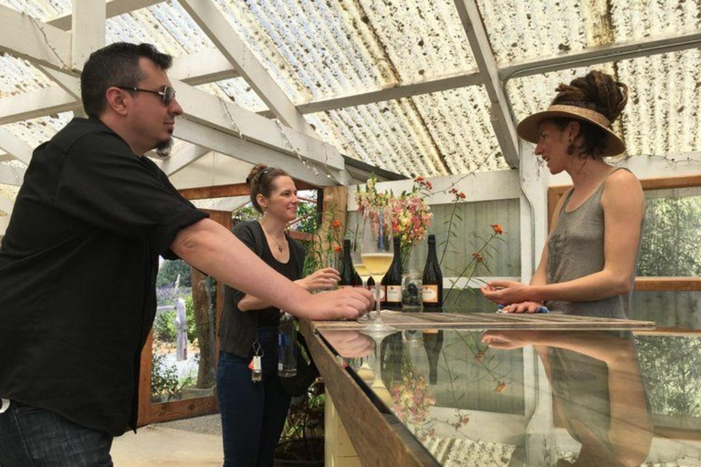 San Francisco: Tour de 5 días por la región vinícola y la costa solo para mujeresOcupación individual