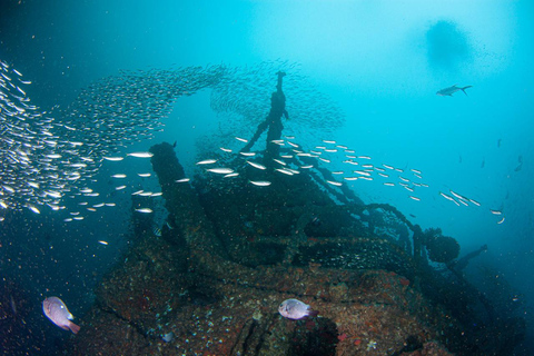 Sunshine Coast: Duiken in het Ex-HMAS Brisbane scheepswrak