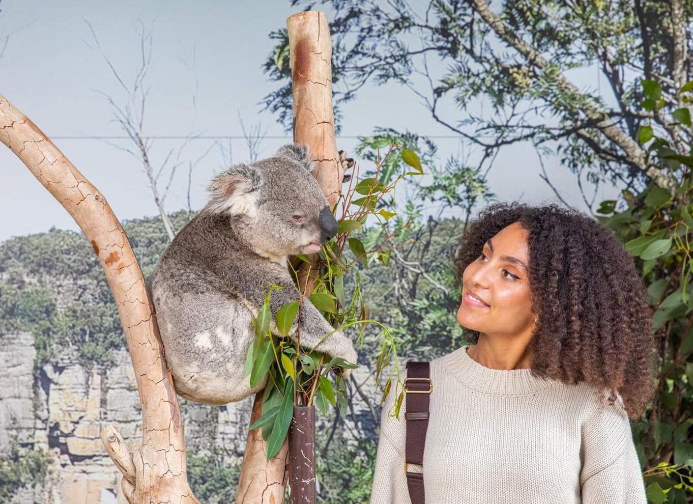 Sydney: Blue Mountains, afsidesliggende udsigtspunkter og vandfald