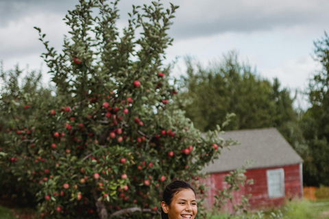 Wiejska Mołdawia: najlepsze miejsce na jogę dla duszy i ciałaRural Moldova: 3-day Yoga Farm Retreat for Soul and Body