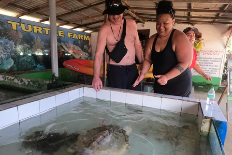 Bali: Turtle Conservation Center Tour and Turtle ReleaseInclude Roundtrip Transfer Nusa Dua and Jimbaran Area only