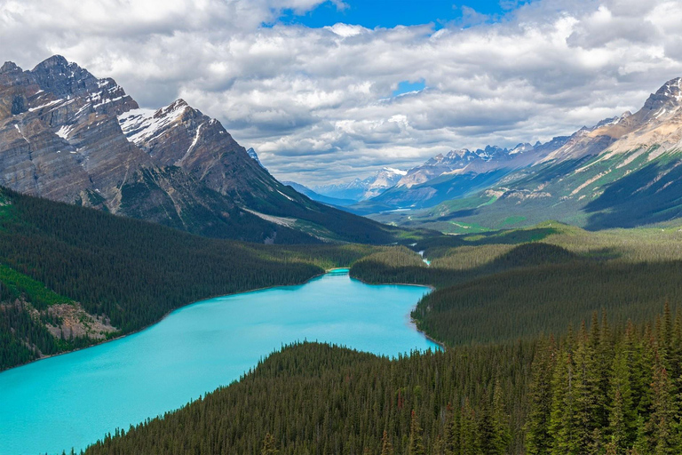 Calgary/Banff : Columbia Icefield, Skywalk, Crowfoot & lakes