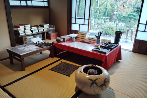 Aichi: Meiji Village & Japan’s Modernization Journey 5h Immersive option