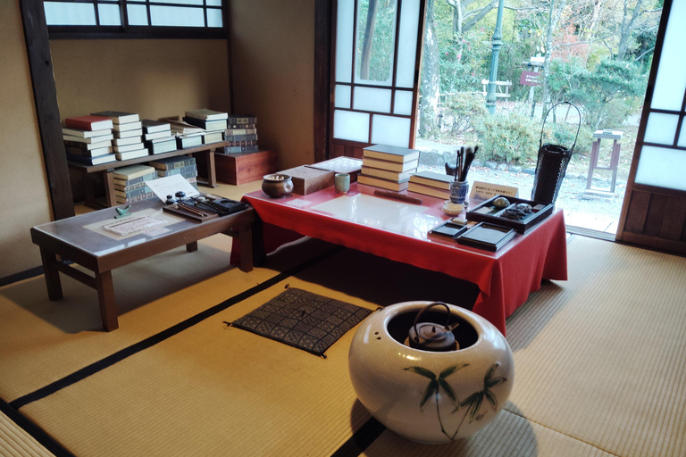 Aichi: Meiji Village & Japan’s Modernization Journey 5h Immersive option