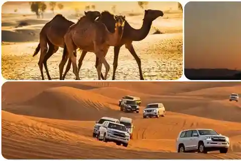 Doha: Ganztägige Wüstensafari mit BBQ-Abendessen