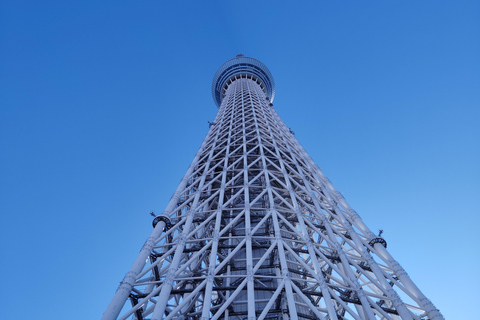 طوكيو جولة في 3 أبراج - إطلالة من السماء على المدينة