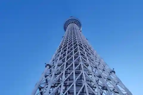 東京3タワーズツアー - 天空から見下ろす東京の街並み