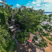 Von Puerto Maldonado: 4-tägige Exkursion /wildlifesearch