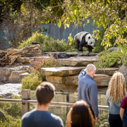 Adelaide Zoo: General Admission Tickets