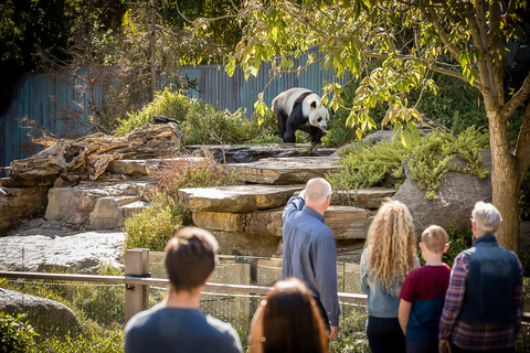 Zoológico de Adelaide: Ingressos gerais