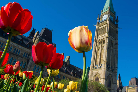 De Montreal: Excursão particular de 1 dia a Ottawa