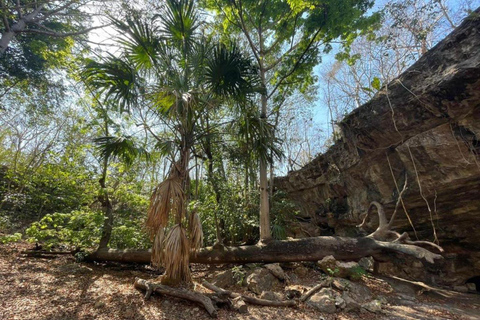 Uxmal en verbazingwekkende cenotes rondleiding met lunch vanuit Mérida