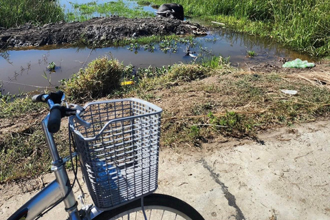 Hanoi Countryside Bike Tour: Rice Fields & Snake Village