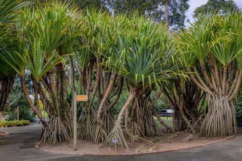 San Jose: Lankester Botanical Garden Entry Ticket