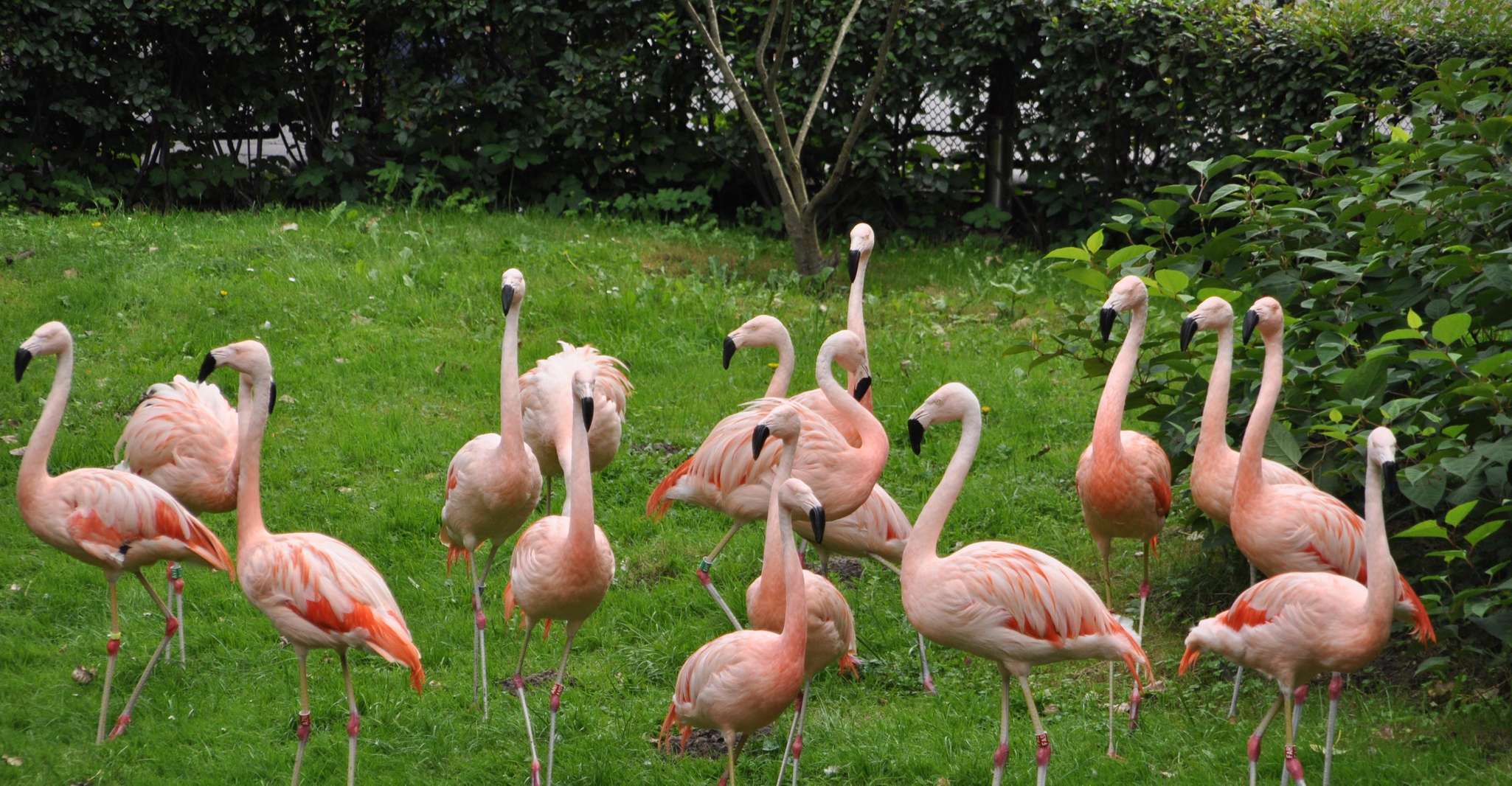 Warsaw_ Parque zoológico con transporte privado - Hizvo