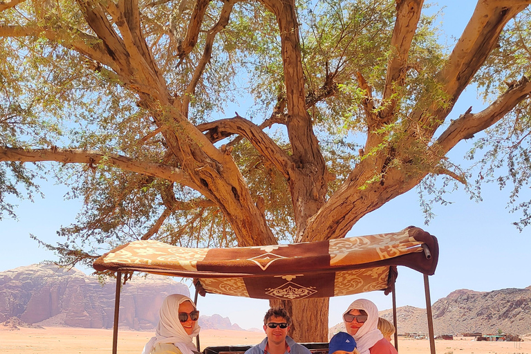 Wadi Rum: Nomadic Survival Skills, Sunset & Zarb Dinner
