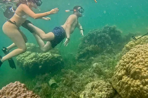 DAR ES SALAAM: MBUDYA ISLAND SNORKELING TOUR & BEACH VIBES