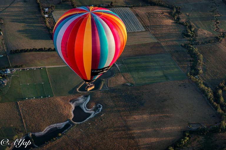 Geelong Hot Air Balloon Flight