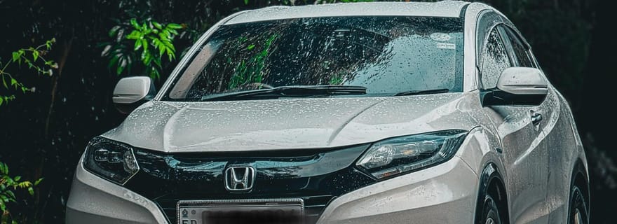 Depuis Trincomalee : Transfert vers Habarana