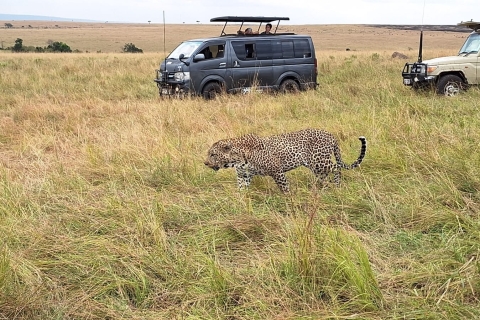 Safari de groupe de 3 jours dans le Masaai Mara