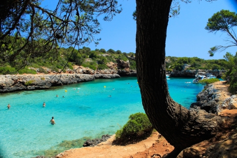 Mallorca Tour: Cala Sa Nau, Cala Mitjana y Cala Marçal Mallorca: Day Trip to Top beaches and coves