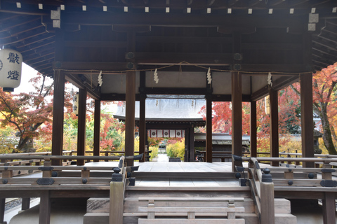 Pedala le gemme nascoste di Kyoto e passeggia per Gion