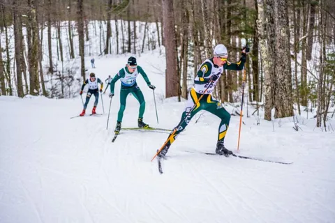 Lake Tahoe: Guided Cross Country Skiing Tour