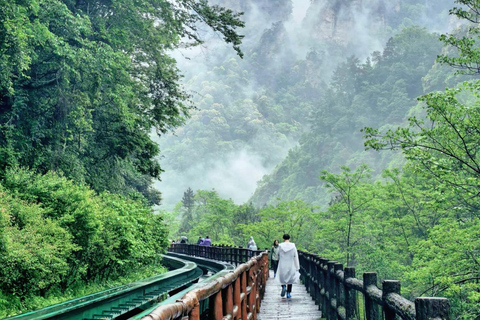 2-Day ZJJ Forest Hike: Conquer the Avatar Mountains on Foot 2-Day Zhangjiajie: Conquer the Avatar Mountains on Foot