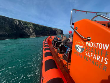 Padstow, Guided RIB Sealife Safari - Housity