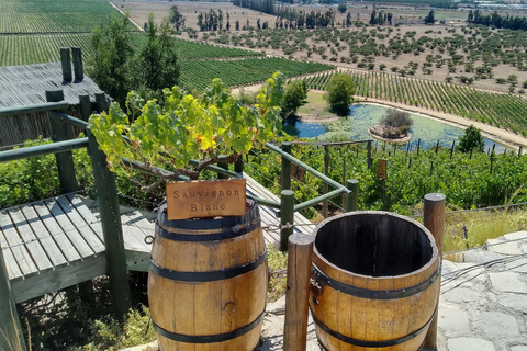 Wineries Tour in Casablanca Valley from Valparaiso Shared tour