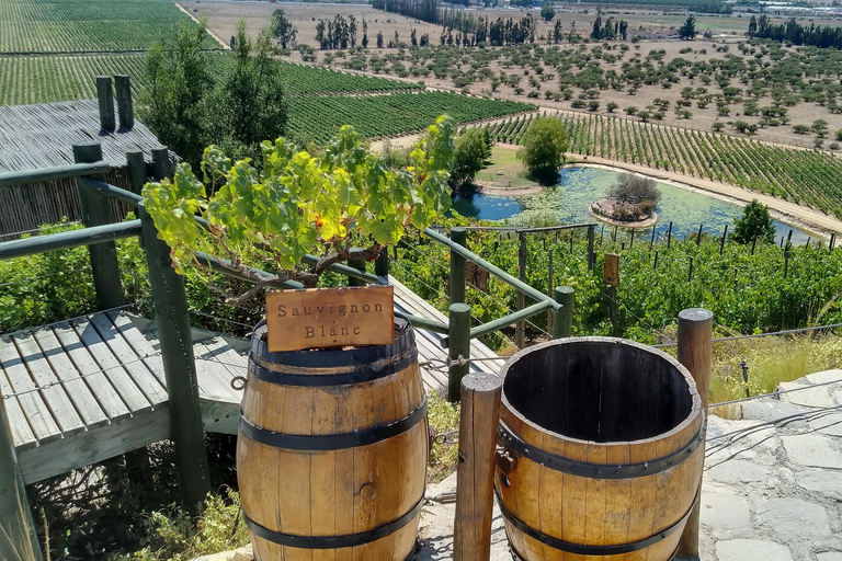 Wineries Tour in Casablanca Valley from Valparaiso Shared tour