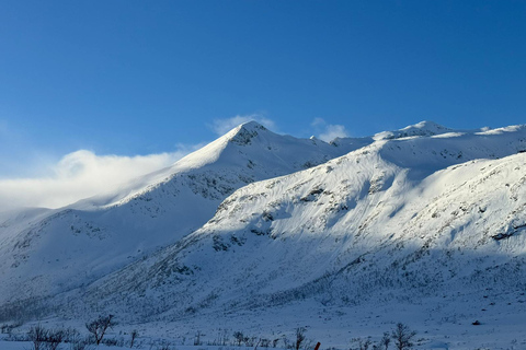 Fjord photo tour to Sommaroy with a 1-hour break