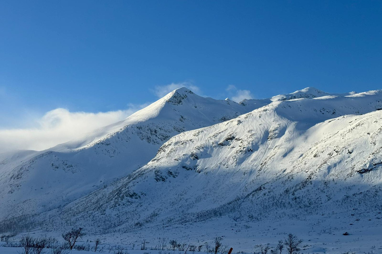 Fjord photo tour to Sommaroy with a 1-hour break