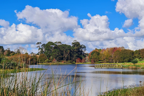 Passeio pela natureza em Auckland