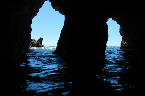Cagliari: Half-Day Coasteering Experience
