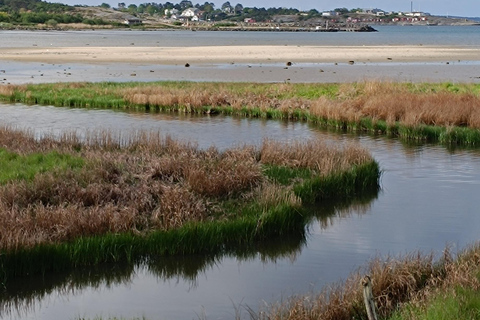 Göteborg: Rundgang durch die Altstadt und entlang der Åsa-Küste
