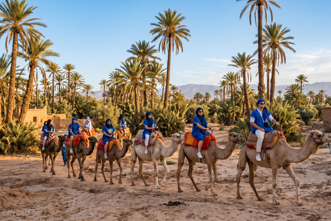 Marrakech: Palmeraie Camel Ride with Mint Tea & Pickup